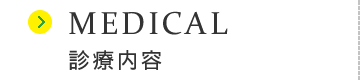 診療内容